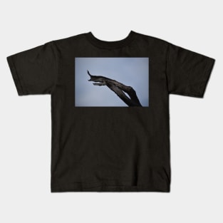 Driftwood 02 Kids T-Shirt